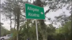 Emails show DeSantis administration blindsided county officials with plans for ‘Alligator Alcatraz’