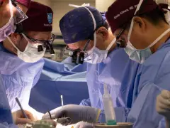 Another New Hampshire man gets a pig kidney as transplant trials are poised to start